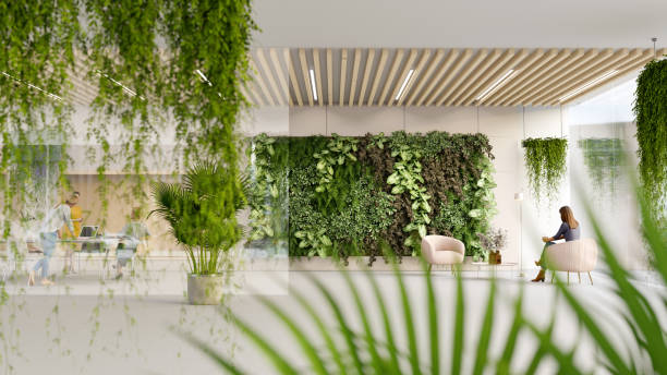 Green Construction