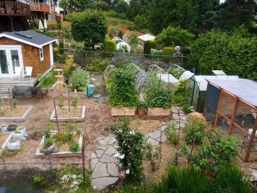 best states for off-grid homesteading Best States for Off-Grid Homesteading in 2026