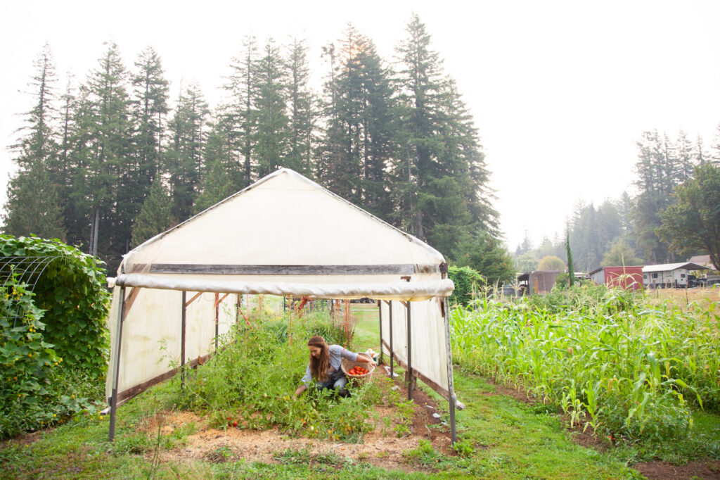 green living off-grid Green Living Off-Grid: Simple Daily Practices