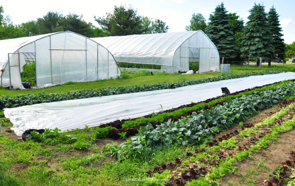 off-grid community living Off-Grid Community Living: Shared Resources