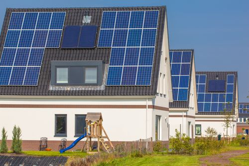 green living net-zero household guide Green Living Net-Zero Household Guide: Practical Everyday Tips
