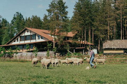 daily life off-grid homestead Daily Life on an Off-Grid Homestead Explained