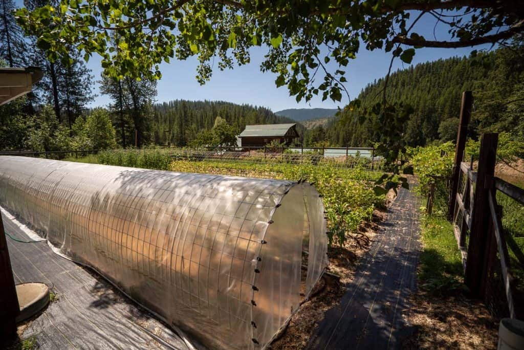 mental health off-grid living Mental Health and Wellbeing Off-Grid Living